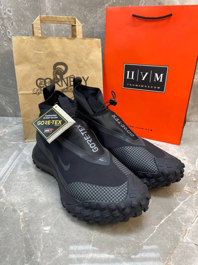 Кроссовки Nike ACG Mountain Fly Gore-Tex 1