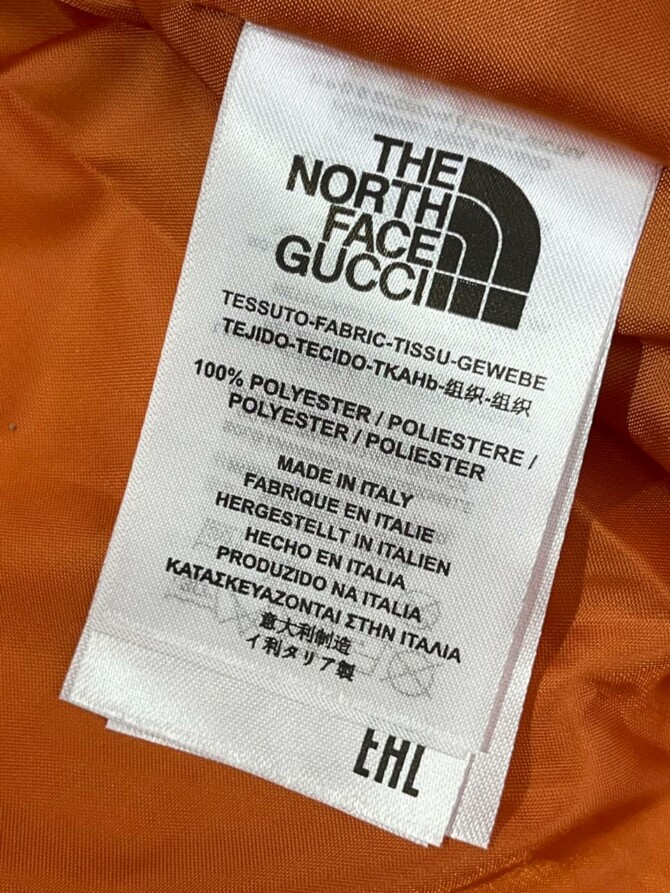 Жилет The North Face x Gucci 5