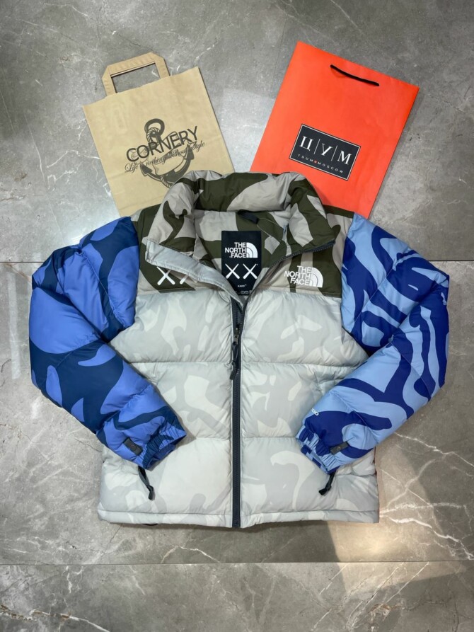 Куртка The North Face x Kaws 1