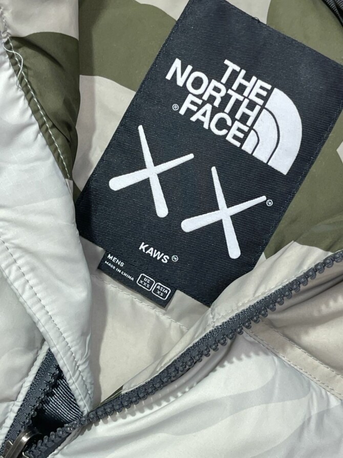 Куртка The North Face x Kaws 8