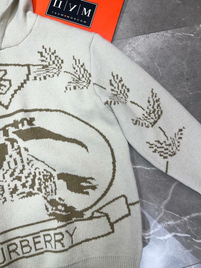 Худи Burberry купить с примеркой по Москве в онлайн магазине MENSWEAR ...