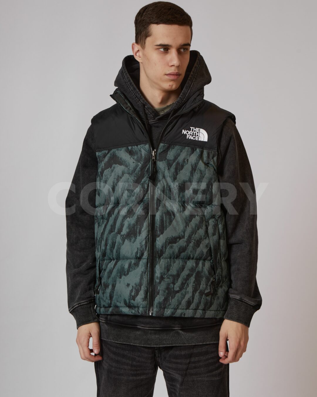 Жилет The North Face 3