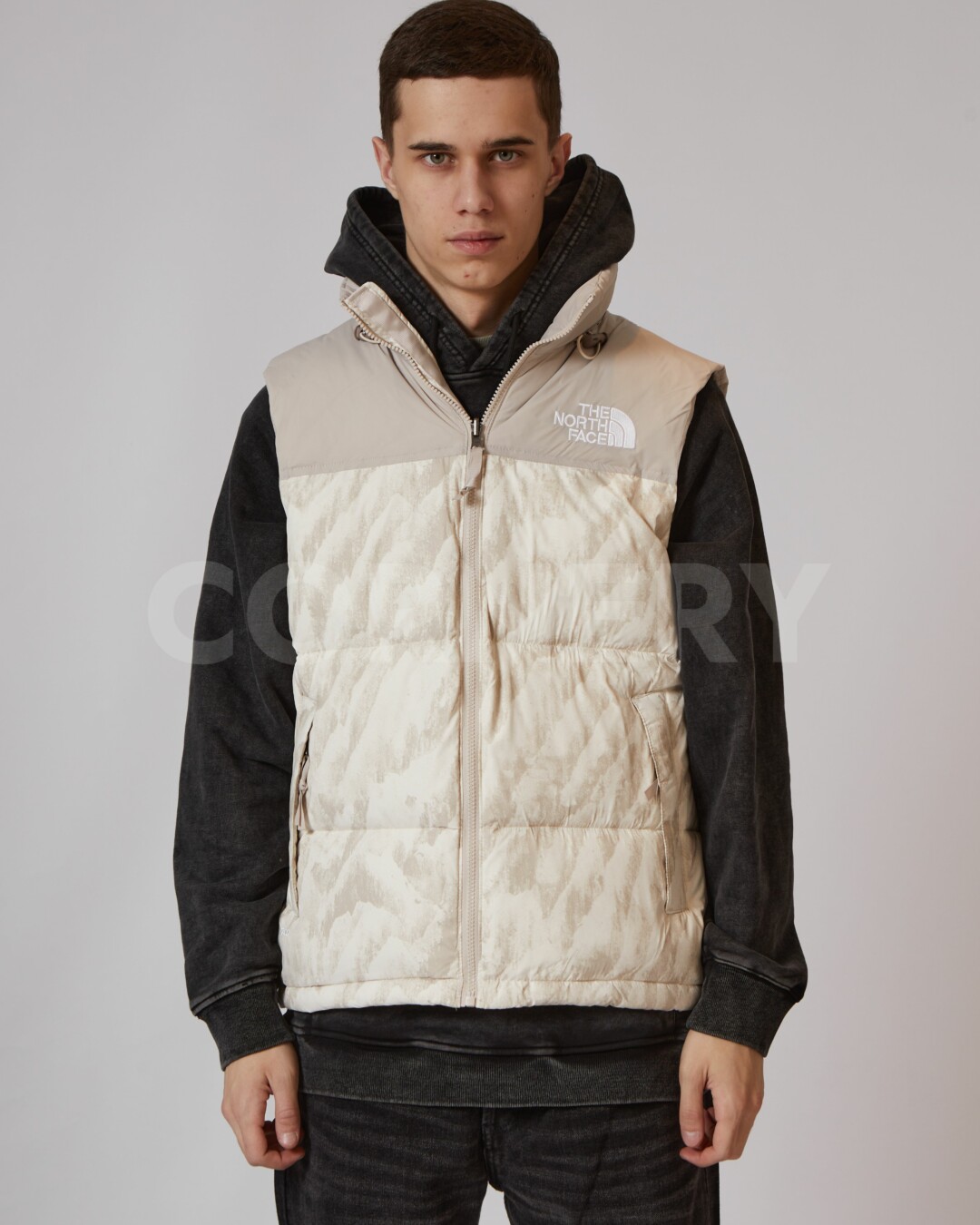 Жилет The North Face 1