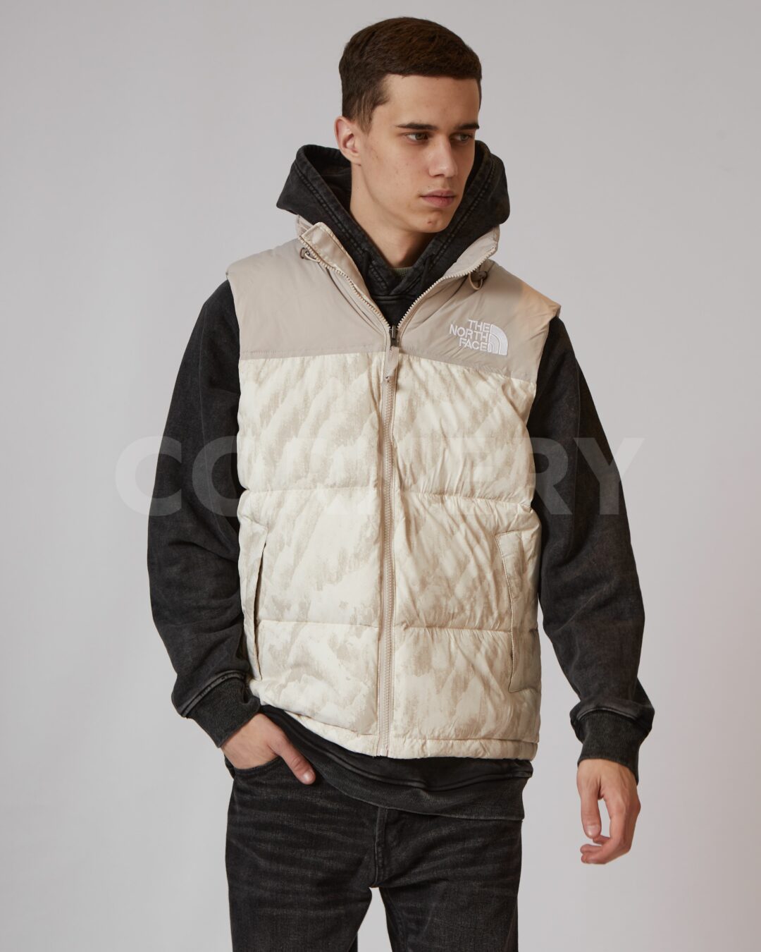 Жилет The North Face 3