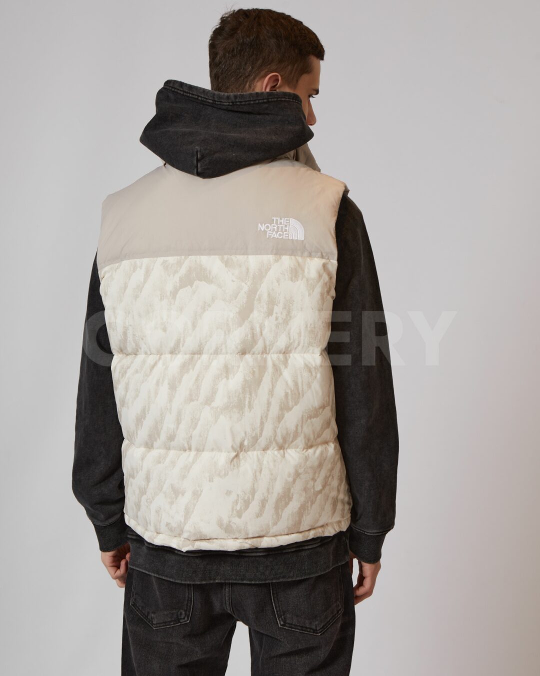 Жилет The North Face 2