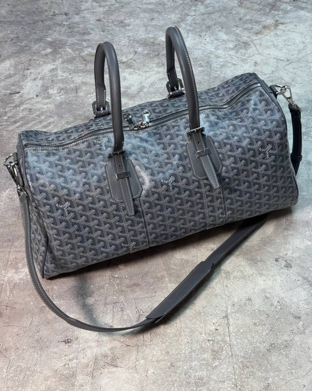 Сумка Goyard Travel Bag 1