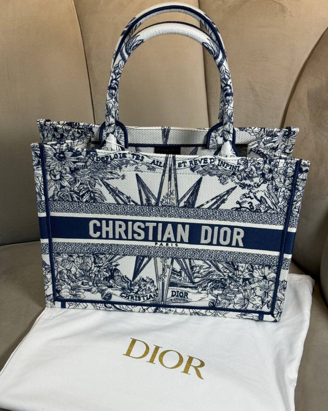 Сумка Dior Book Tote Medium