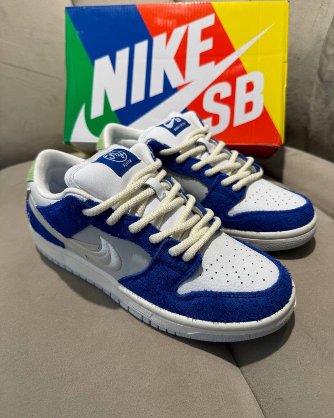 Кеды Nike Dunk Low Pro SB Gardenia 1