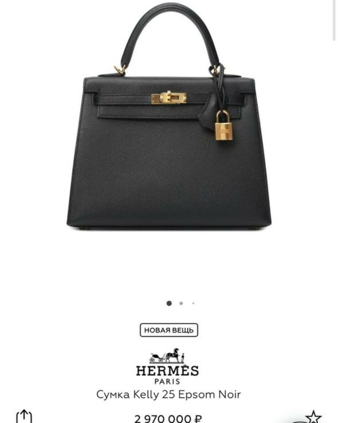 Сумка Hermes Kelly (25см) 5